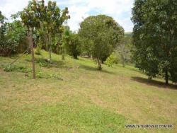 Sítio para Venda em Pinhalzinho - 5