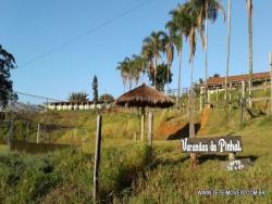 Haras para Venda em Pinhalzinho - 4