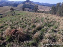 #106 - Área para Venda em Pinhalzinho - SP - 3