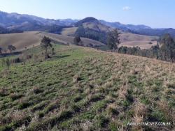 Área para Venda em Pinhalzinho - 5