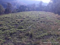 #106 - Área para Venda em Pinhalzinho - SP