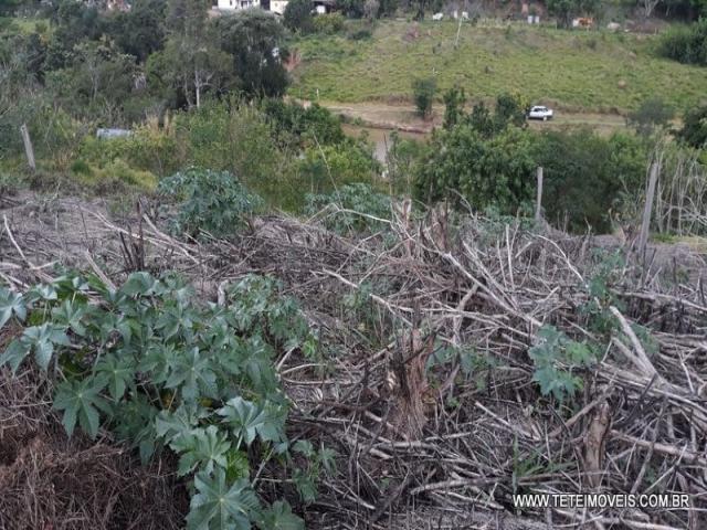 #150 - Área para Venda em Pinhalzinho - SP - 3