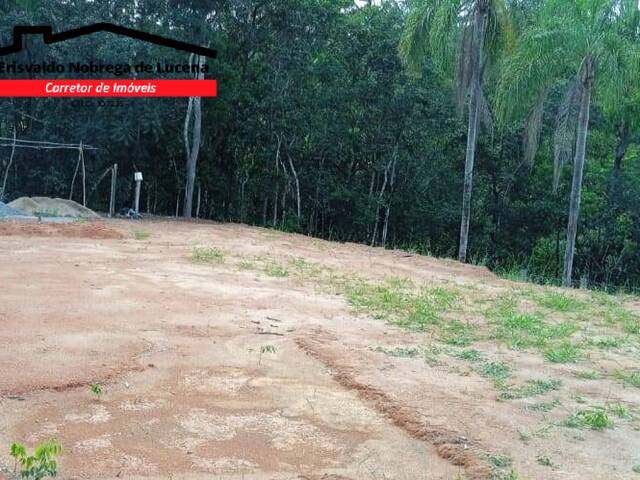 Terreno para Venda em Pinhalzinho - 4