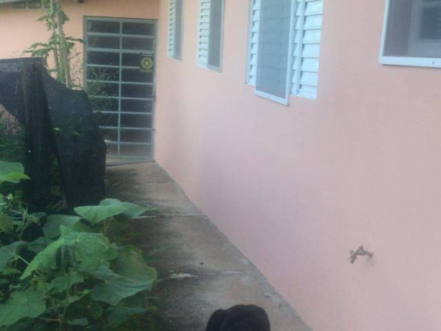 Chácara para Venda em Pinhalzinho - 5