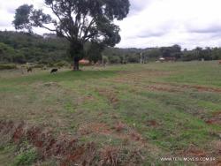 #159 - Terreno para Venda em Pinhalzinho - SP - 1