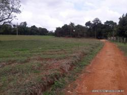 #159 - Terreno para Venda em Pinhalzinho - SP - 3