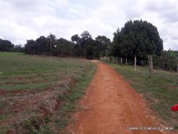 Terreno para Venda em Pinhalzinho - 4