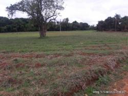 Terreno para Venda em Pinhalzinho - 5