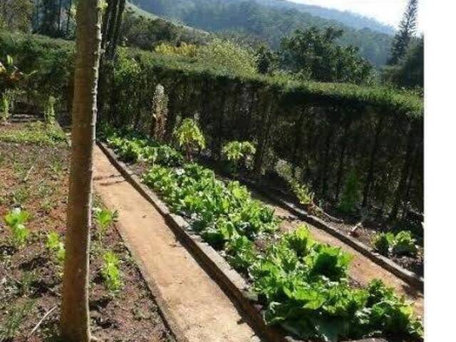 #110 - Chácara para Venda em Bragança Paulista - SP - 2