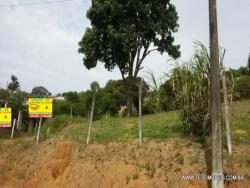 #81 - Terreno para Venda em Pinhalzinho - SP - 2