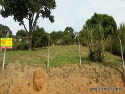 Terreno para Venda em Pinhalzinho - 4