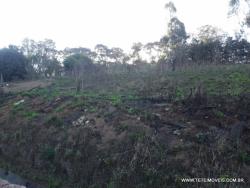 Terreno para Venda em Pinhalzinho - 4