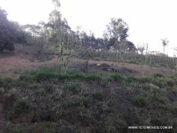 Terreno para Venda em Pinhalzinho - 5
