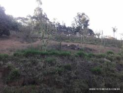 #194 - Terreno para Venda em Pinhalzinho - SP - 3