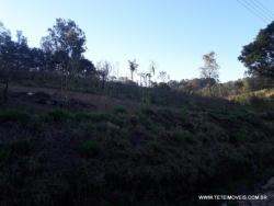 Terreno para Venda em Pinhalzinho - 5