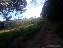 Sítio para Venda em Pinhalzinho - 4