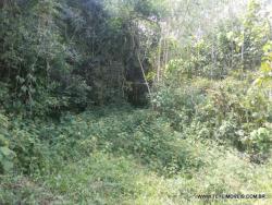 Terreno para Venda em Pinhalzinho - 4
