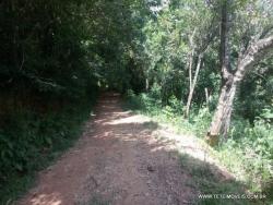 Terreno para Venda em Pinhalzinho - 5
