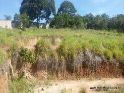 Terreno para Venda em Pinhalzinho - 4