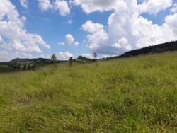 Terreno para Venda em Socorro - 5