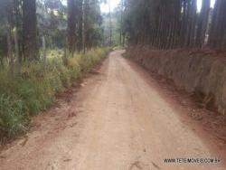 Área para Venda em Pinhalzinho - 4