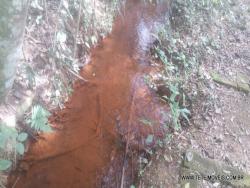 Área para Venda em Pinhalzinho - 5