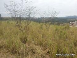 Área para Venda em Pinhalzinho - 4