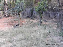 Chácara para Venda em Pinhalzinho - 5