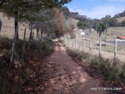 Sítio para Venda em Pinhalzinho - 4