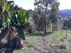 Venda em Centro - Pinhalzinho