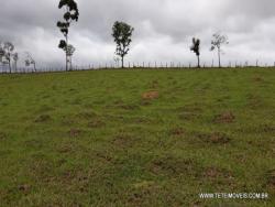 #48 - Área para Venda em Pinhalzinho - SP - 1