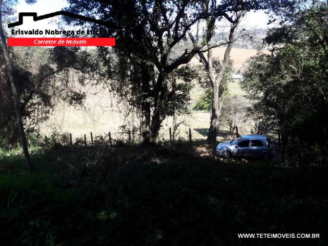 Terreno para Venda em Pinhalzinho - 5