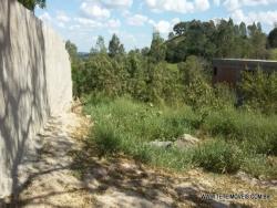 Terreno para Venda em Pinhalzinho - 5