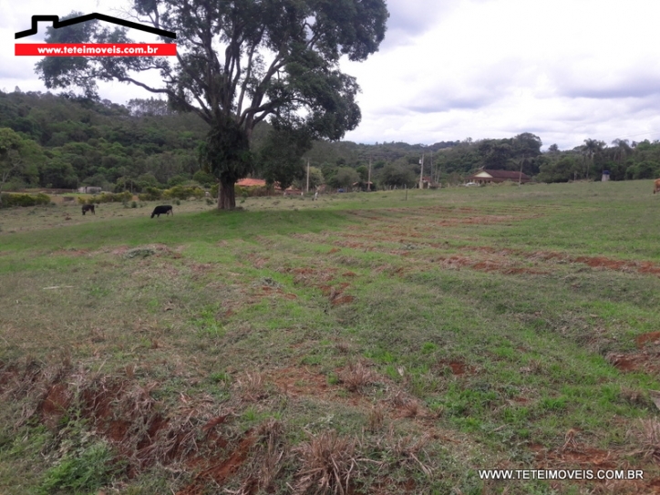 Terreno em Pinhalzinho