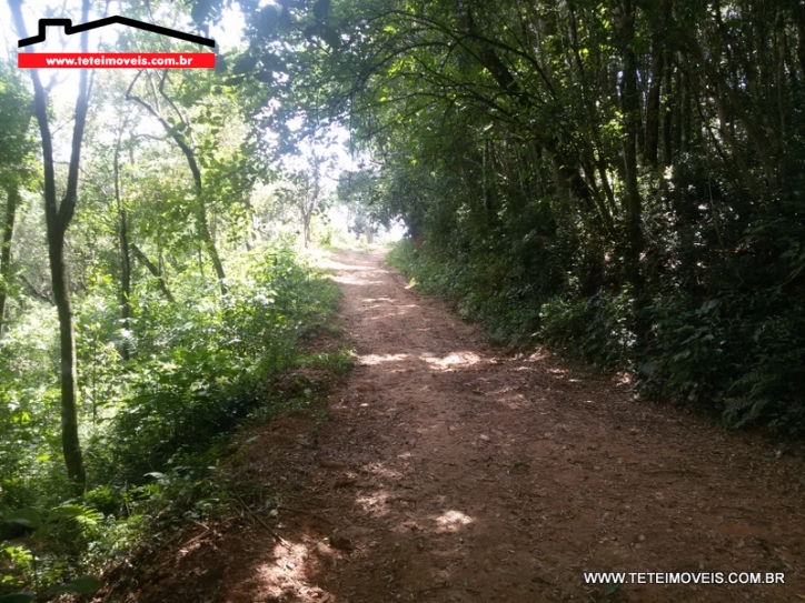Terreno em Pinhalzinho 2,5 Alqueires